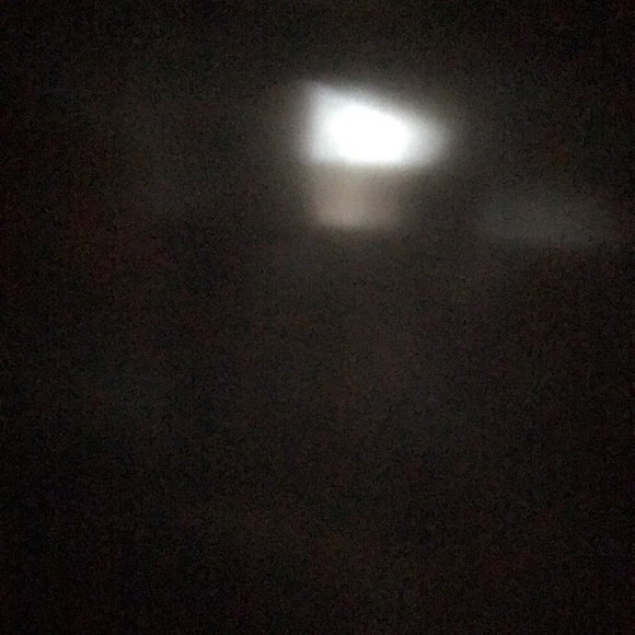 Meet your Posher, Riley - Picture 1 of 1